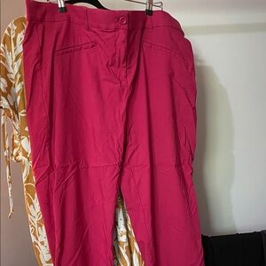 Womens size 24 pink pants